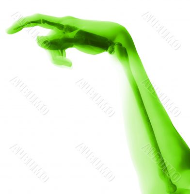Bone Hand
