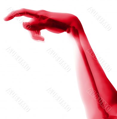 Bone Hand