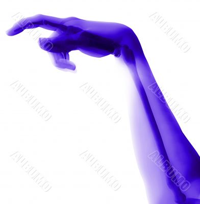 Bone Hand