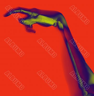 Bone Hand