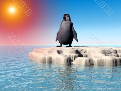 Little Lost Penguin