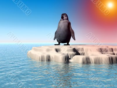 Little Lost Penguin