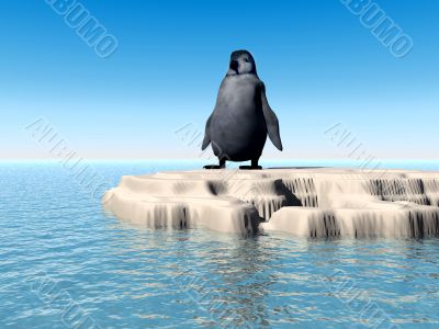 Little Lost Penguin