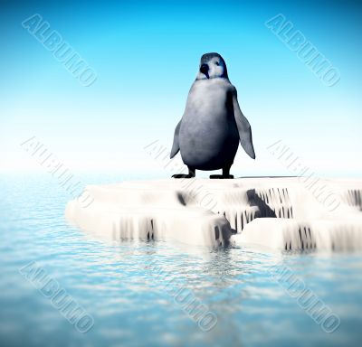 Little Lost Penguin