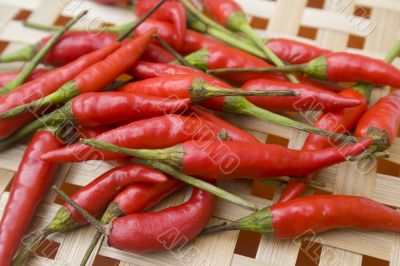 Chili peppers on basket
