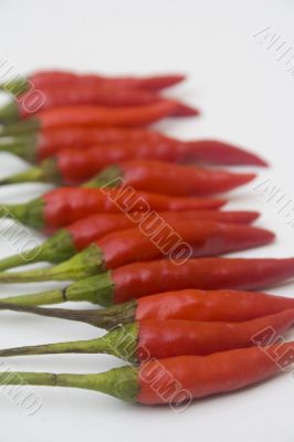 Chili peppers