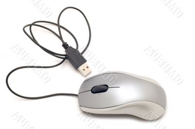 computer mouse close up