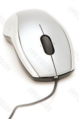computer mouse closeup