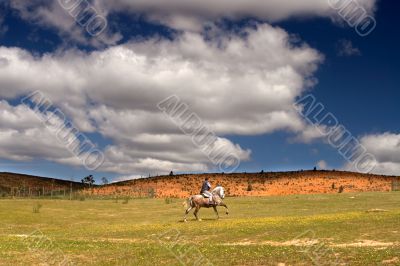 Riding a horse in a meadow