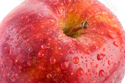 Macro apple with red drops of water - Shallow DOF