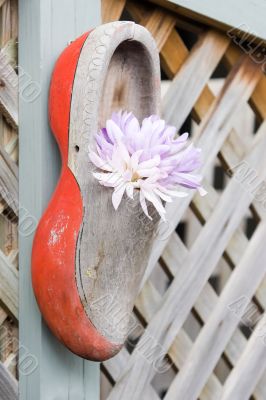 Clog and Flowers
