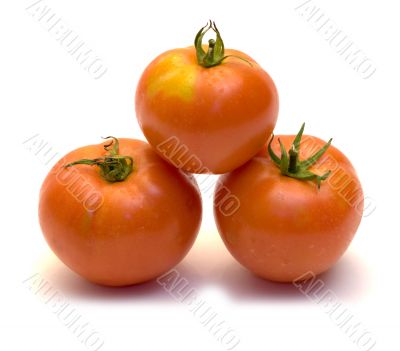 Three Tomatoes
