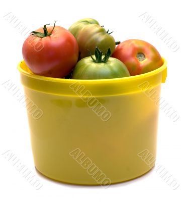 Picked Tomatoes