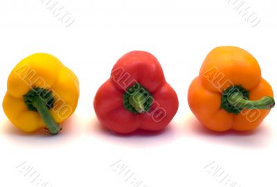 Three Colored Peppers