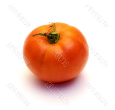 Single Tomato