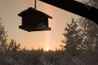 birdfeeder