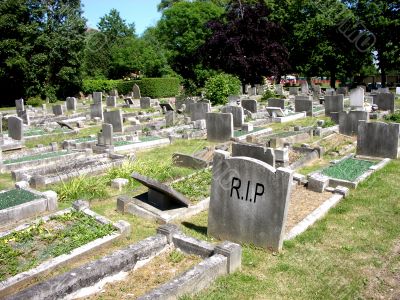 Graves