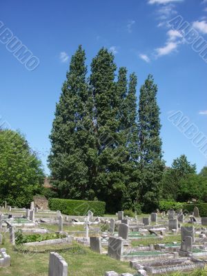 Graves