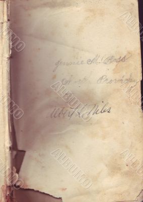 Antique paper Book Blank