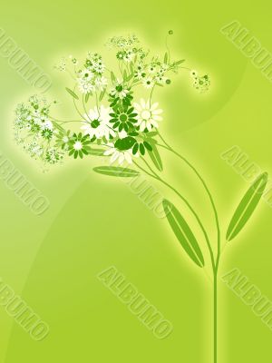 Flowers illustration