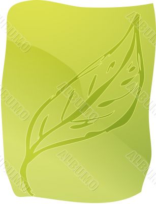 Leaf illustration