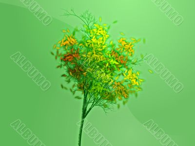 Autumn tree