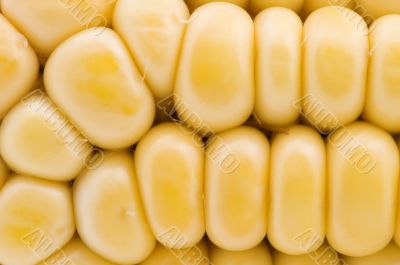 Raw corn macro