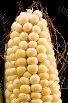 Raw corn on black