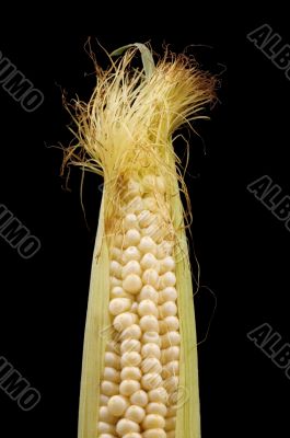 Raw corn