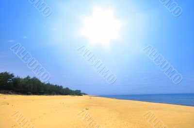empty summer beach