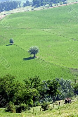 Landscape of the Romagna hills