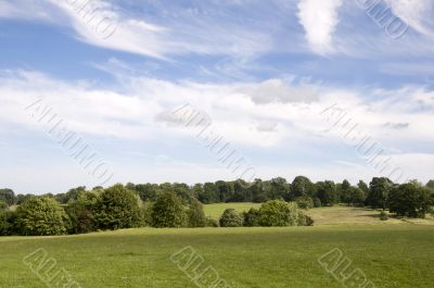 Parkland