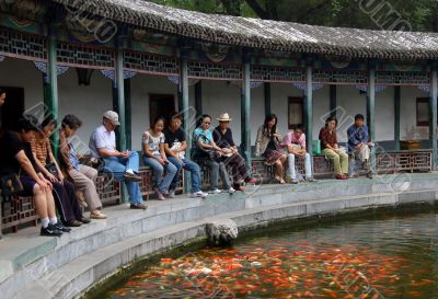 Chinese people looking at red carps in pond