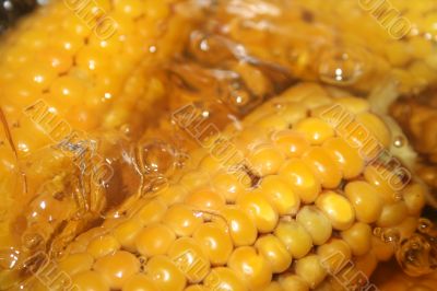 the Corn