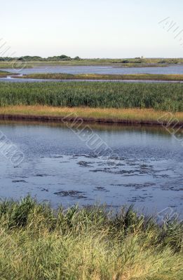 Valli di Comacchio - Pools
