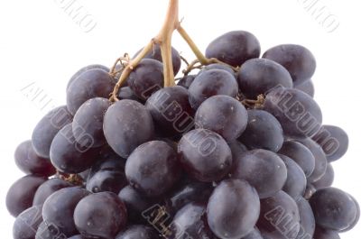 Black grapes macro