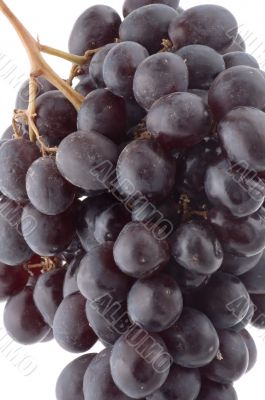 Black grapes on white