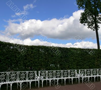 Bench in park