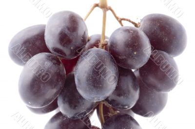 Red grapes closeup