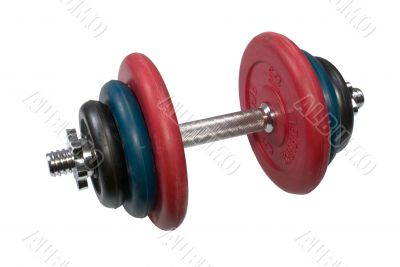 Folding dumbbell