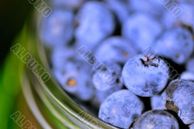 Blue-berries in glass