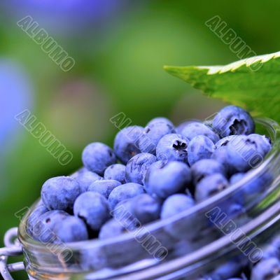 Blue berries