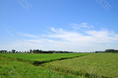 Landscape with farmland