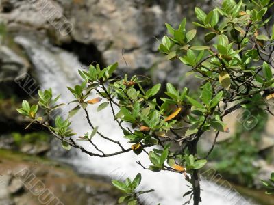 A waterfall Kamyshlinsky