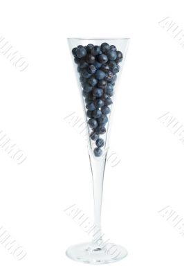 blueberry coctail