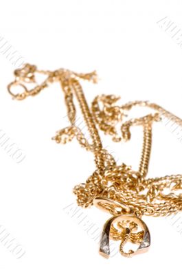 Golden chain and scorpion