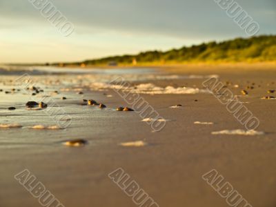 Stones on the sand