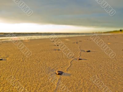 Stone way