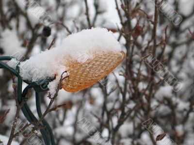 snow on a light bulb