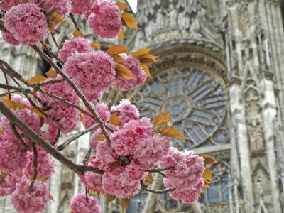 Spring tree